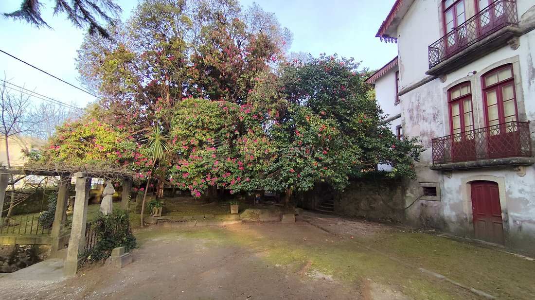 Finca in Touguinha e Touguinho, Porto District, Portugal 5 - 14220793