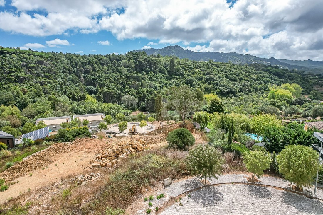 Land in Sintra, Lisbon, Portugal 1 - 15375062