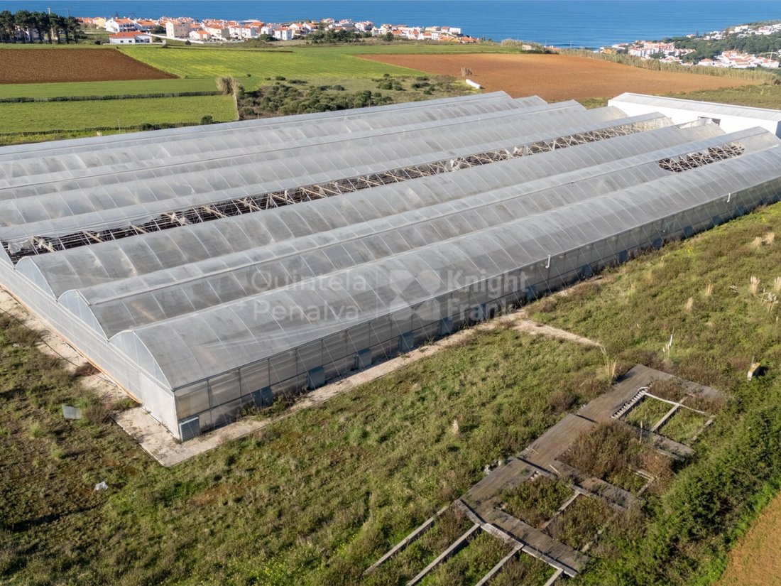 Land in Santo Isidoro, Lisbon, Portugal 5 - 15015483