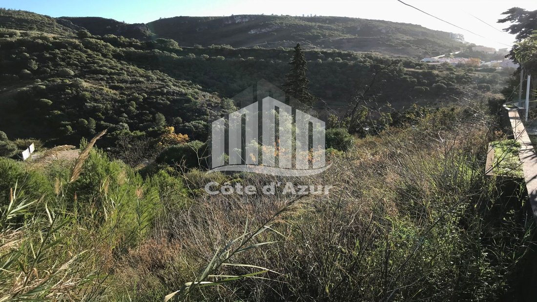 Land in Santiago, Setubal, Portugal 3 - 12274568