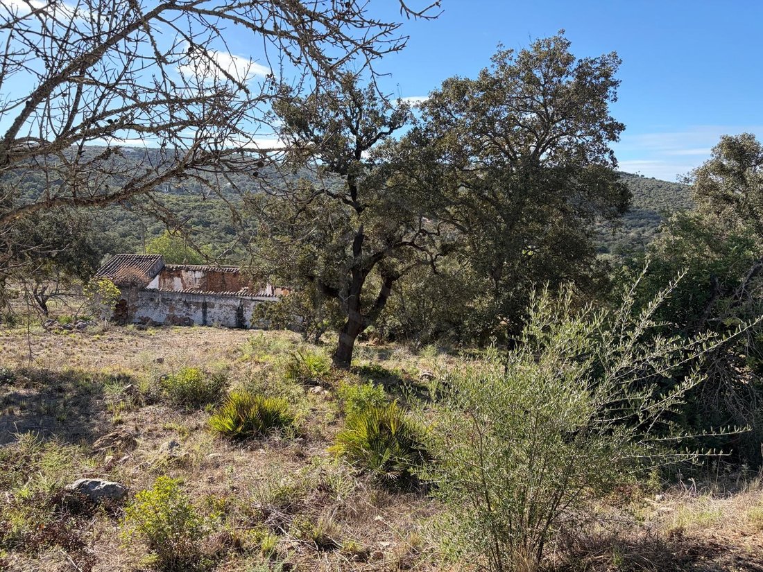 Land in Loule (Sao Clemente), Algarve, Portugal 1 - 16624136