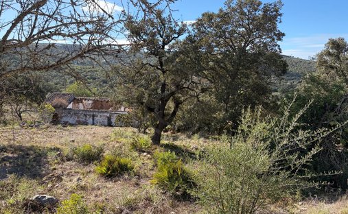 Land in Loule (Sao Clemente), Algarve, Portugal 1