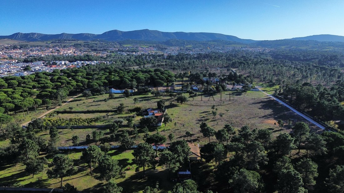 Land in Azeitao (Sao Lourenco e Sao Simao), Setubal, Portugal 1 - 15849354
