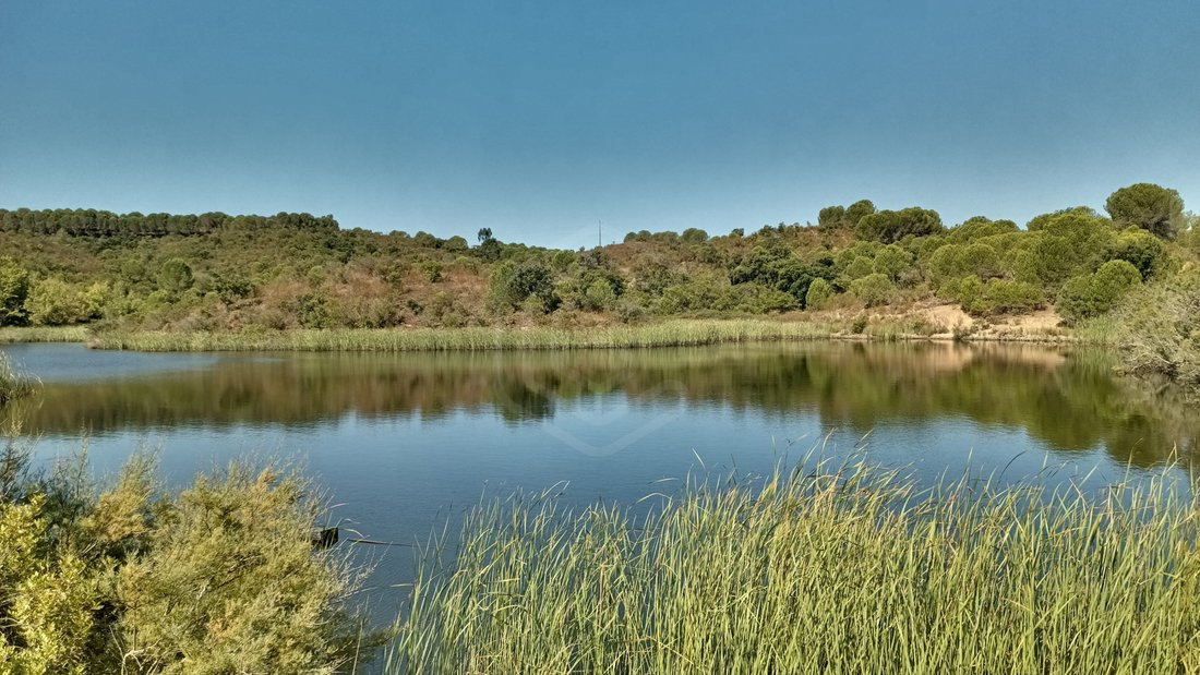 Land in Silves, Algarve, Portugal 4 - 14867986