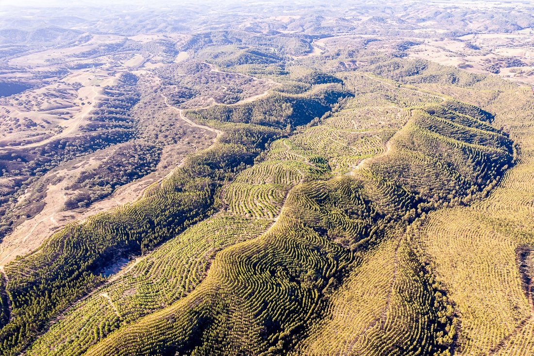Land in Sao Salvador e Santa Maria, Beja District, Portugal 4 - 15306726