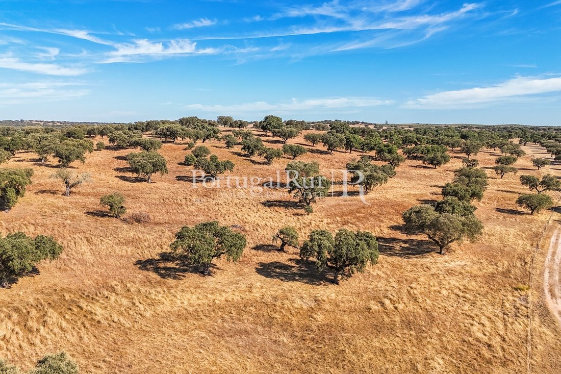 Land in Ervedal, Portalegre District, Portugal 3 - 14952500
