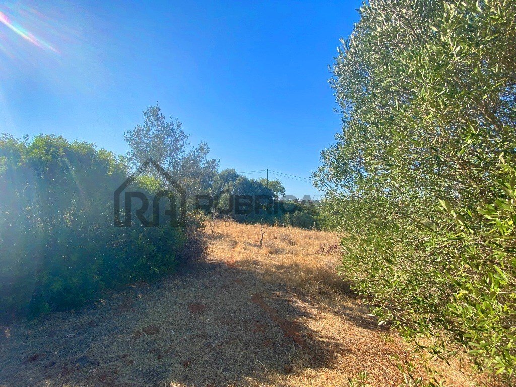 Land in Almancil, Algarve, Portugal 2 - 13032916