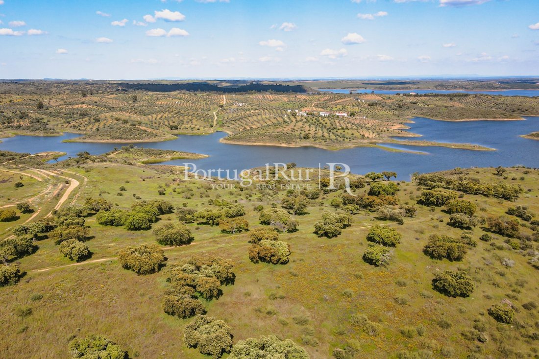 Estate in Reguengos de Monsaraz, Évora District, Portugal 4 - 14869566