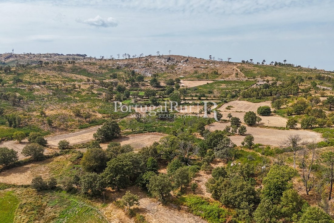 Estate in Guarda, Guarda District, Portugal 5 - 16563799
