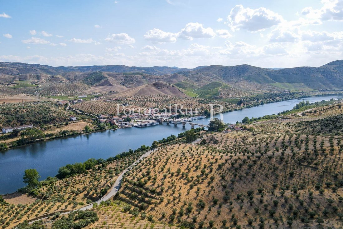 Finca in Escalhao, Guarda District, Portugal 5 - 14876566