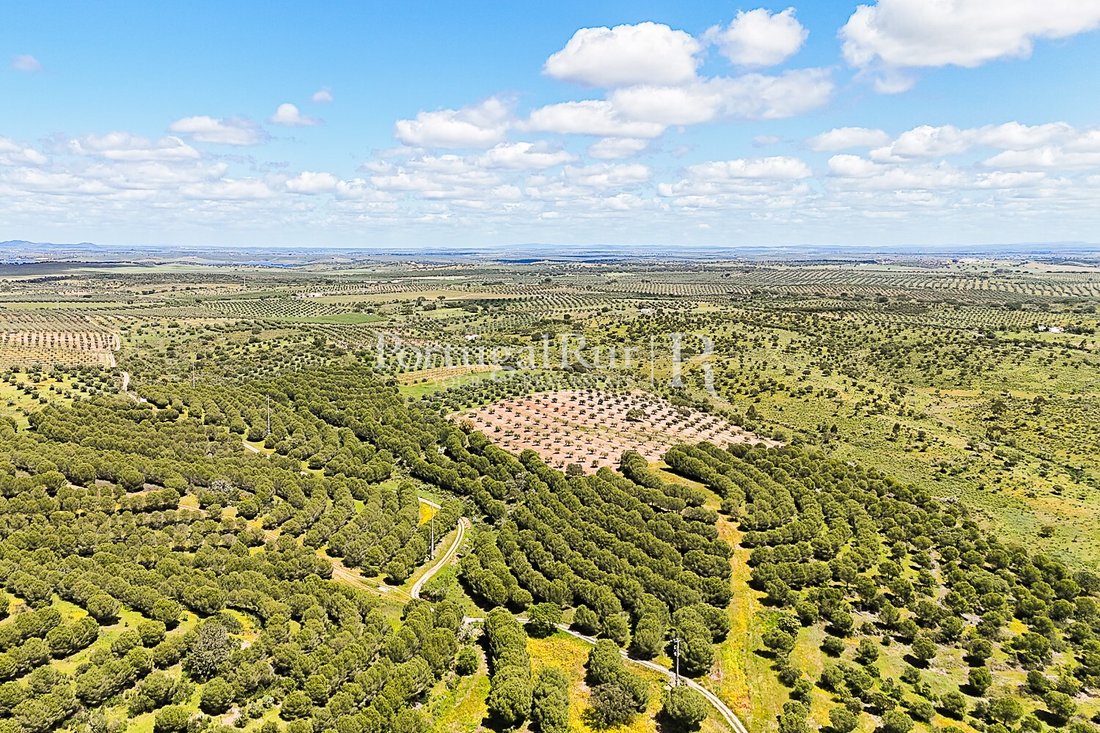 Estate in Moura (Santo Agostinho e Sao Joao Batista) e Santo Amador, Beja District, Portugal 4 - 15595301