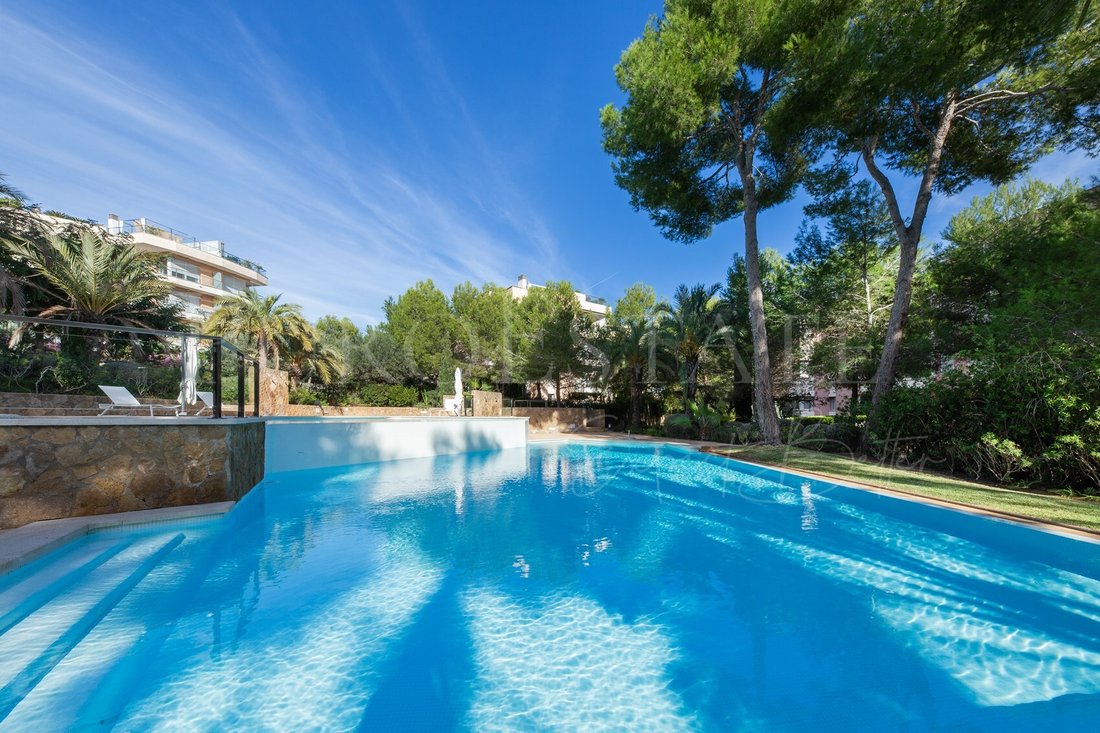 Apartment in Sol de Mallorca, Calvia, Balearic Islands 2 - 14155725