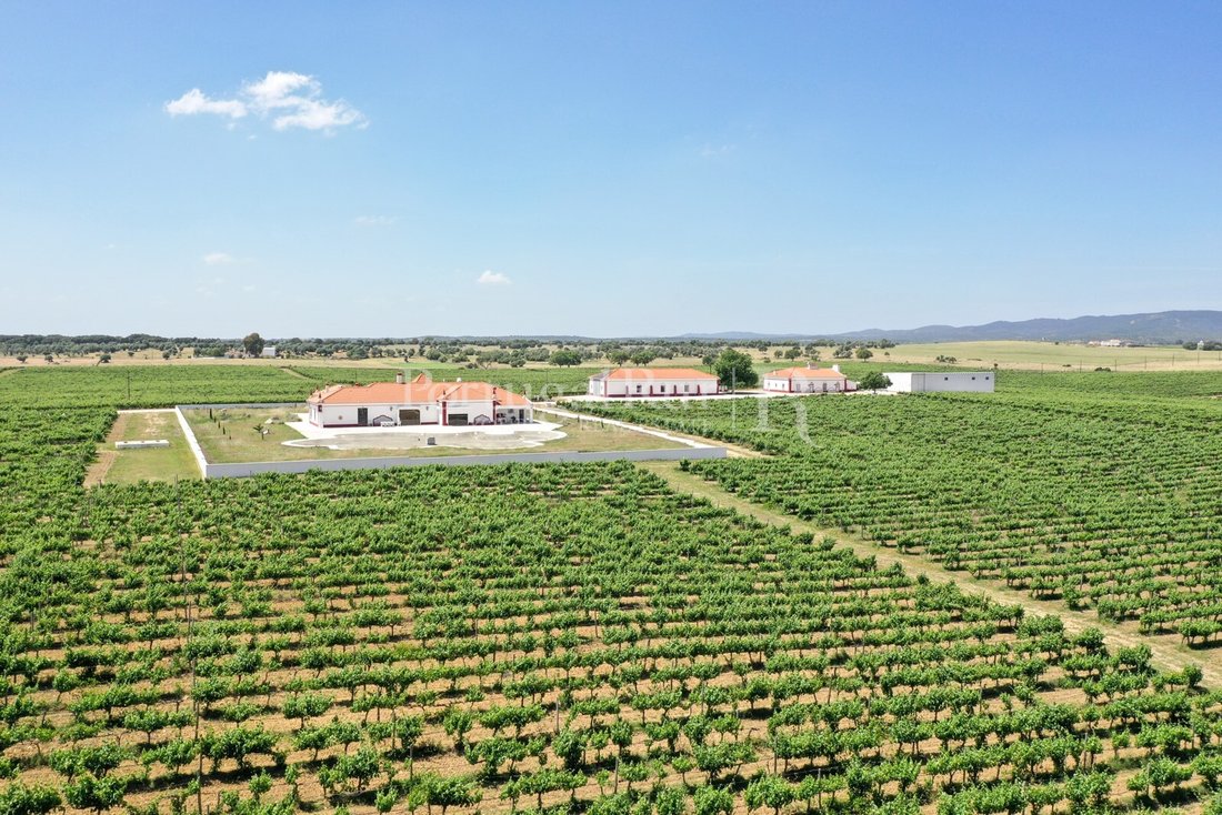 Estate in Corval, Évora District, Portugal 4 - 16517320
