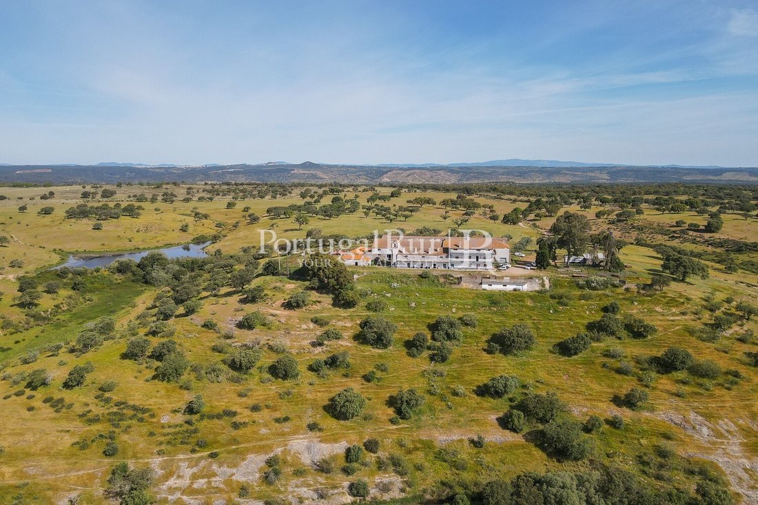 Estate in Monforte da Beira, Castelo Branco District, Portugal 1 - 14282501