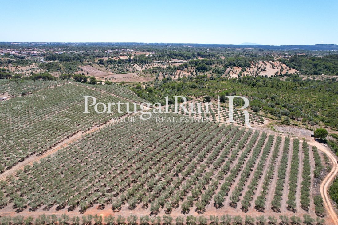 Finca in Malhou, Louriceira e Espinheiro, Santarem District, Portugal 3 - 15118129