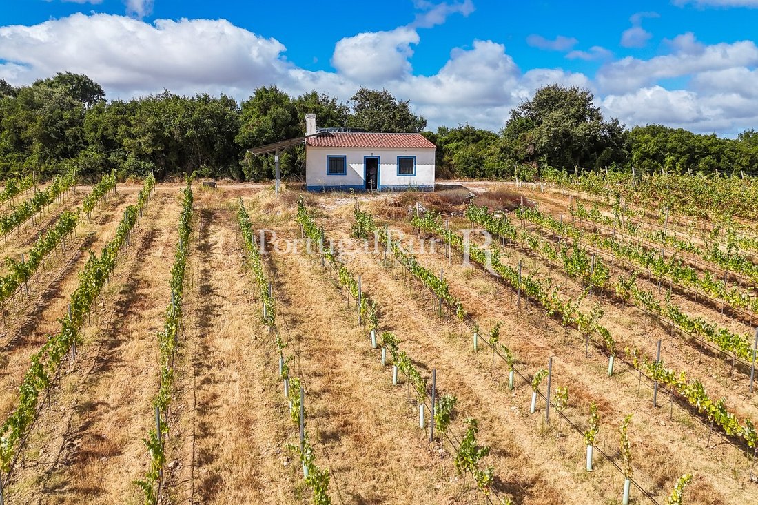 Finca in Nossa Senhora da Conceicao e Sao Bartolomeu, Évora District, Portugal 3 - 16147502