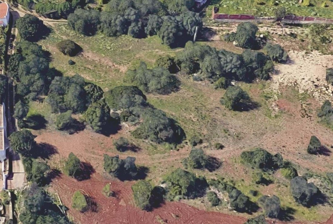 Land in Santa Barbara de Nexe, Algarve, Portugal 4 - 14445819