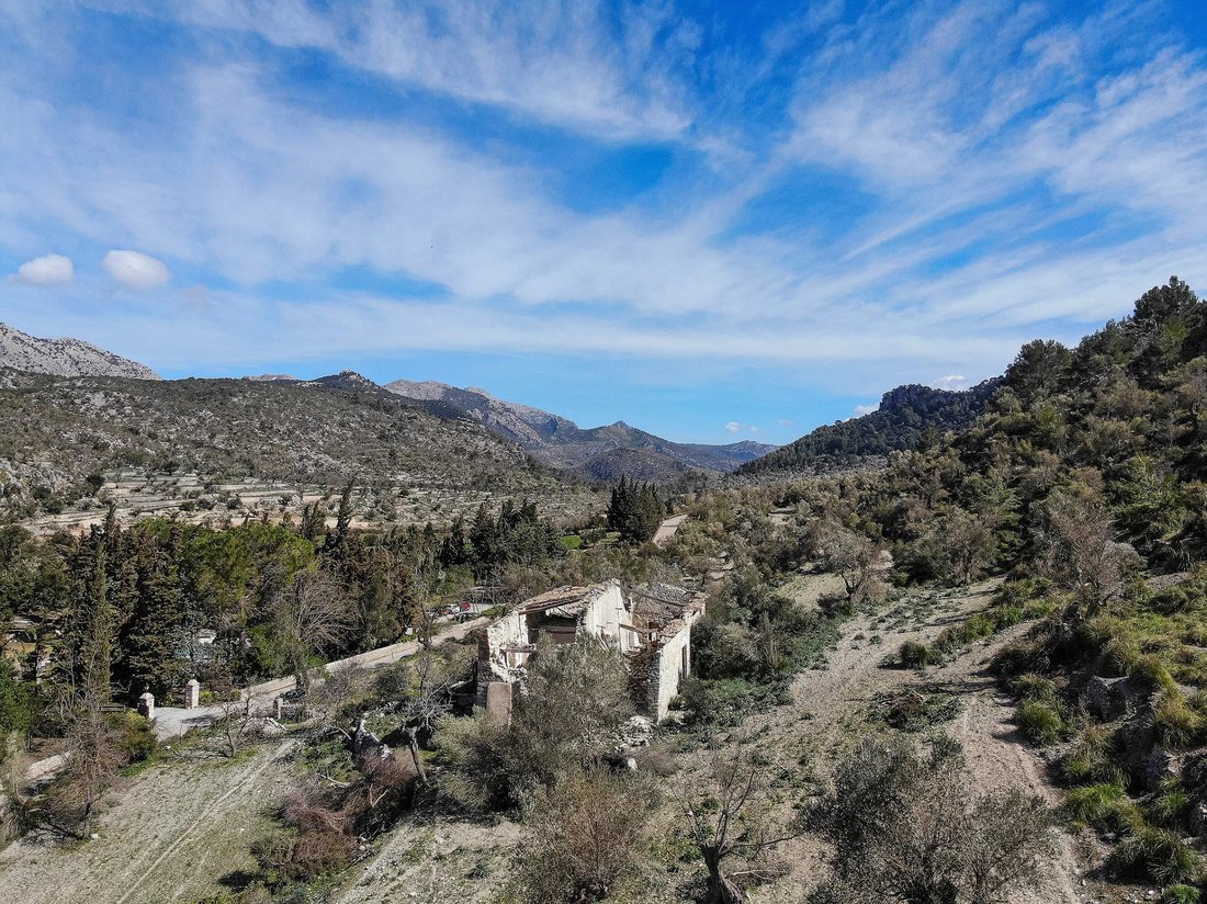 Country House in Bunyola, Balearic Islands, Spain 4 - 12445818