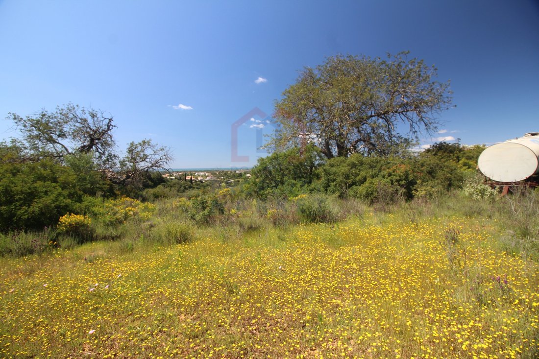 Land in Faro (Se e Sao Pedro), Algarve, Portugal 4 - 15548070