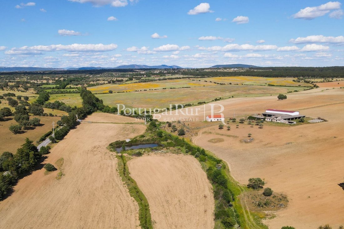 Estate in Idanha-a-Nova e Alcafozes, Castelo Branco District, Portugal 1 - 14876596