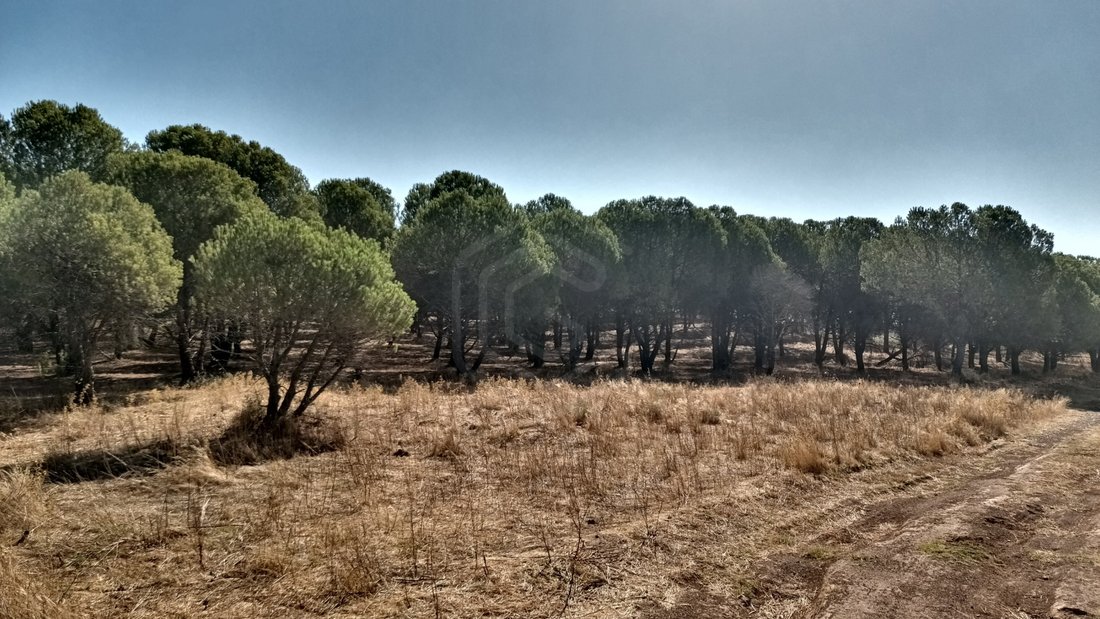 Land in Silves, Algarve, Portugal 3 - 14867986