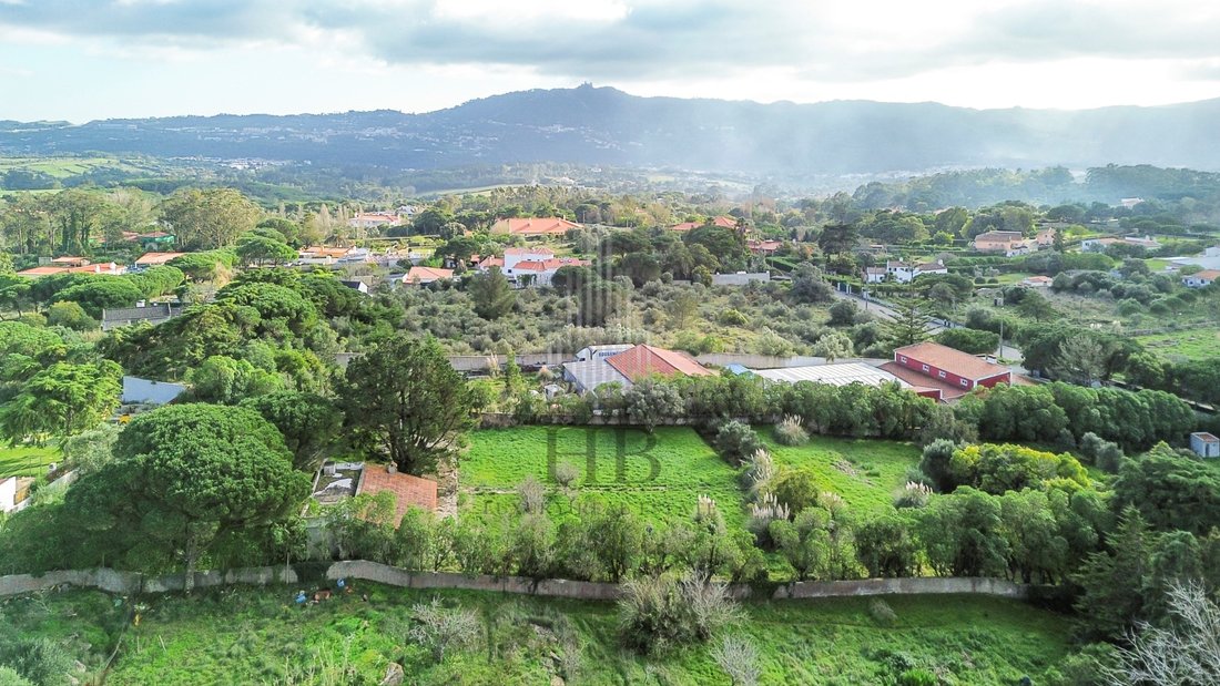 Land in Sintra, Lisbon, Portugal 1 - 15188975