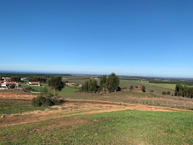 Finca in S.Teotónio, Beja District, Portugal 5 - 16392840