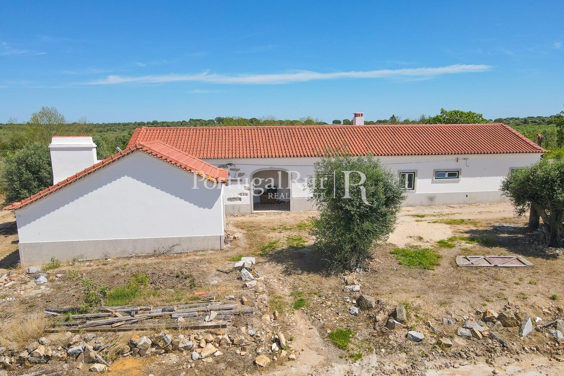 Estate in Fronteira, Portalegre District, Portugal 5 - 14168355