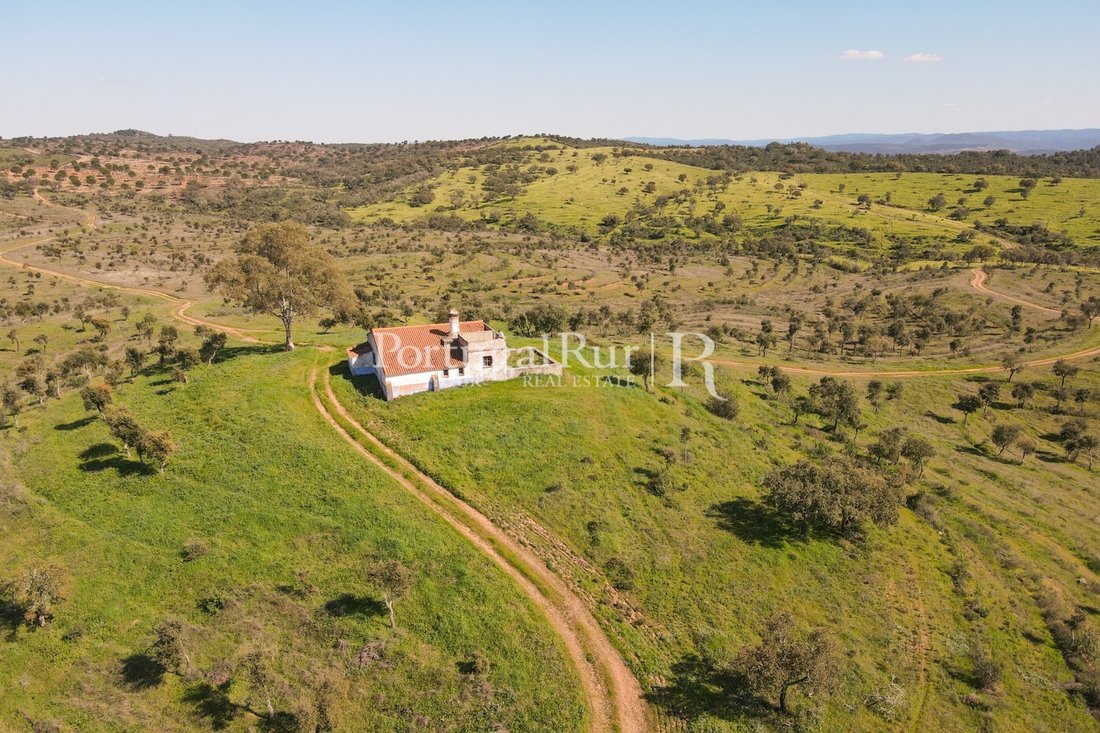 Estate in Santo Aleixo da Restauracao, Beja District, Portugal 4 - 14859046