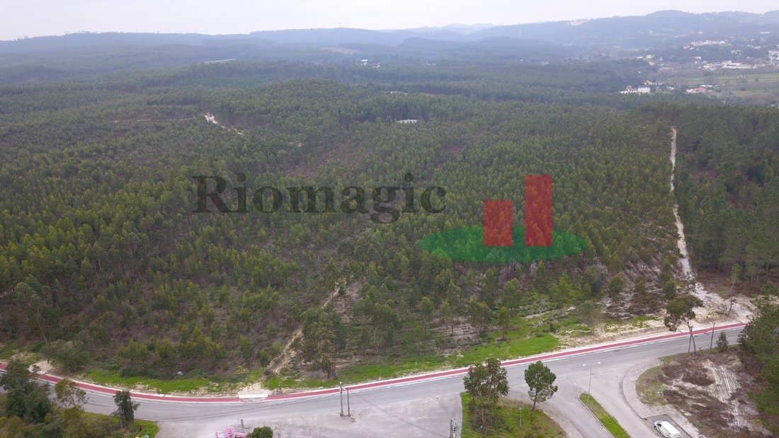 Land in Rio Maior, Santarem District, Portugal 5 - 12276235