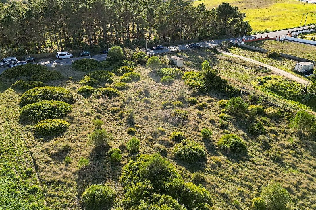 Land in Sintra, Lisbon, Portugal 5 - 16711432