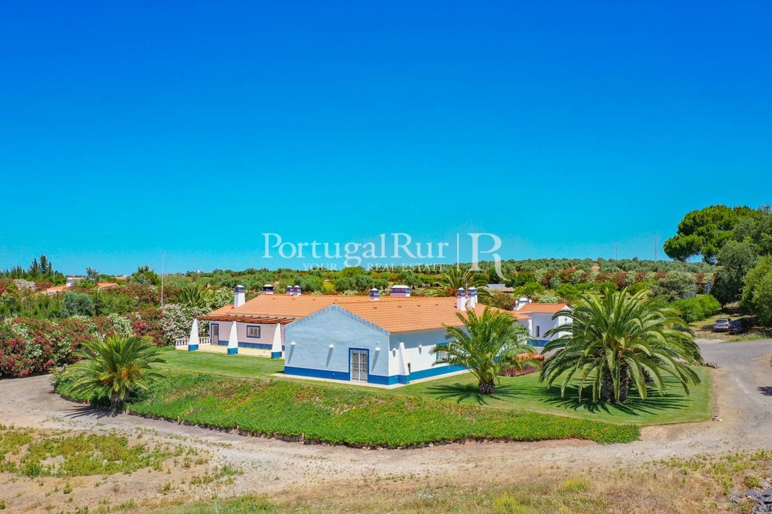Estate in Ferreira do Alentejo e Canhestros, Beja District, Portugal 4 - 14864336