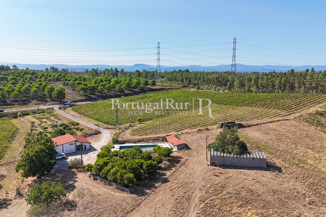 Estate in Benquerencas, Castelo Branco District, Portugal 3 - 14610856
