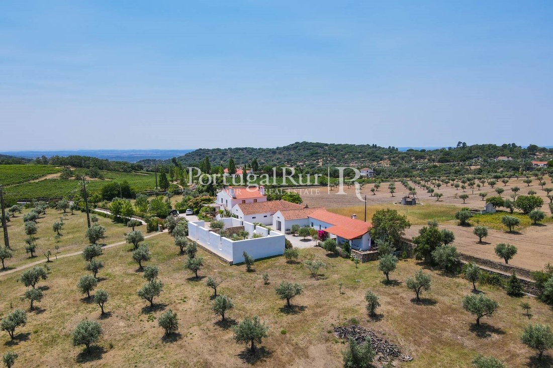 Finca in Reguengo e Sao Juliao, Portalegre District, Portugal 3 - 14876557