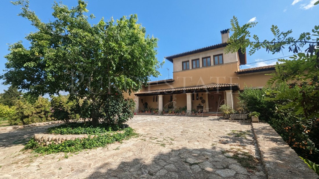 Finca in Palma, Balearic Islands, Spain 5 - 14603722
