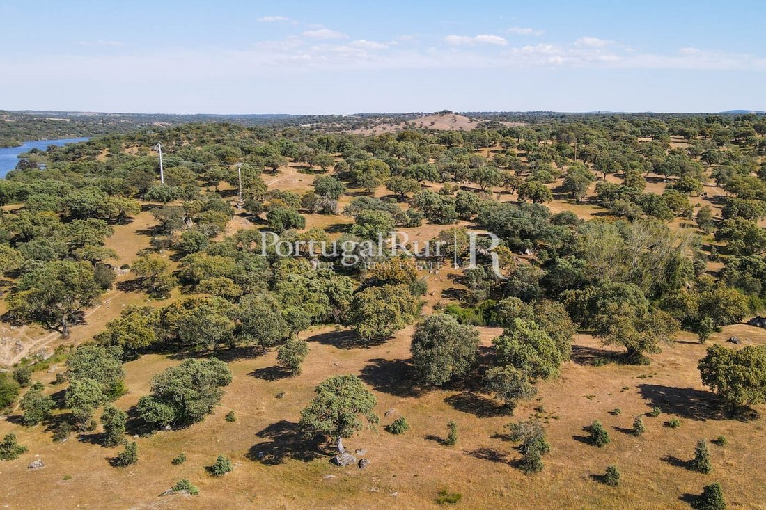 Land in Ervedal, Portalegre District, Portugal 2 - 14952500
