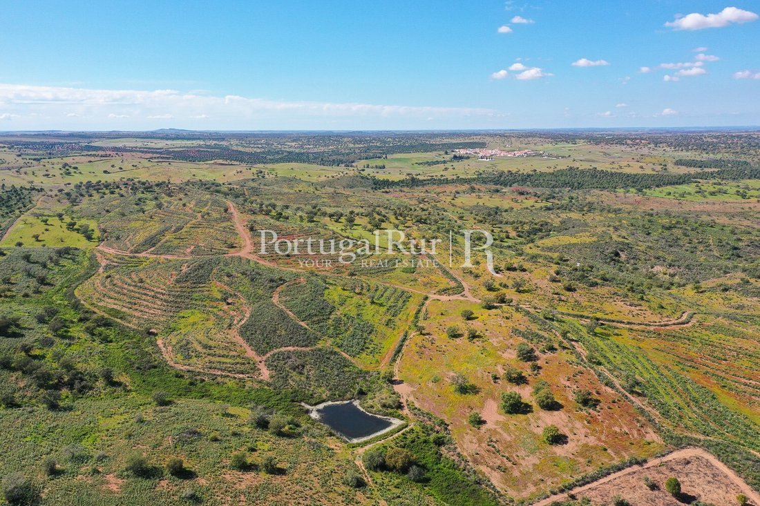 Domaine à São Miguel do Pinheiro, Beja, Portugal 3 - 14172484