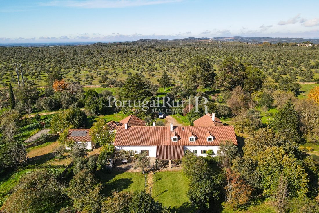 Finca in Torre de Coelheiros, Évora District, Portugal 4 - 14876442