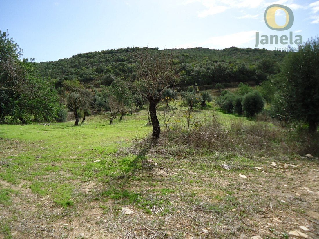 Land in Santa Barbara de Nexe, Algarve, Portugal 4 - 15711244