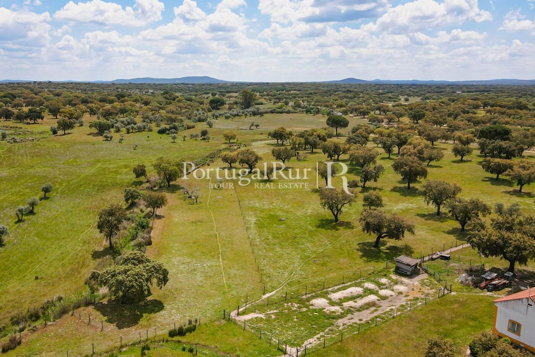 Finca in Pavia, Évora District, Portugal 5 - 14984050