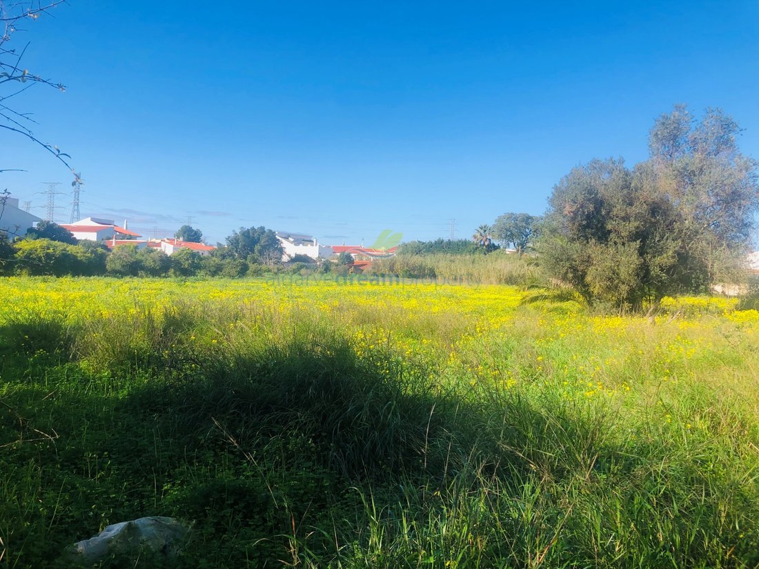 Land in Algoz e Tunes, Algarve, Portugal 4 - 13728399