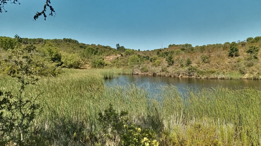 Land in Sao Bartolomeu de Messines, Algarve, Portugal 5 - 14867986