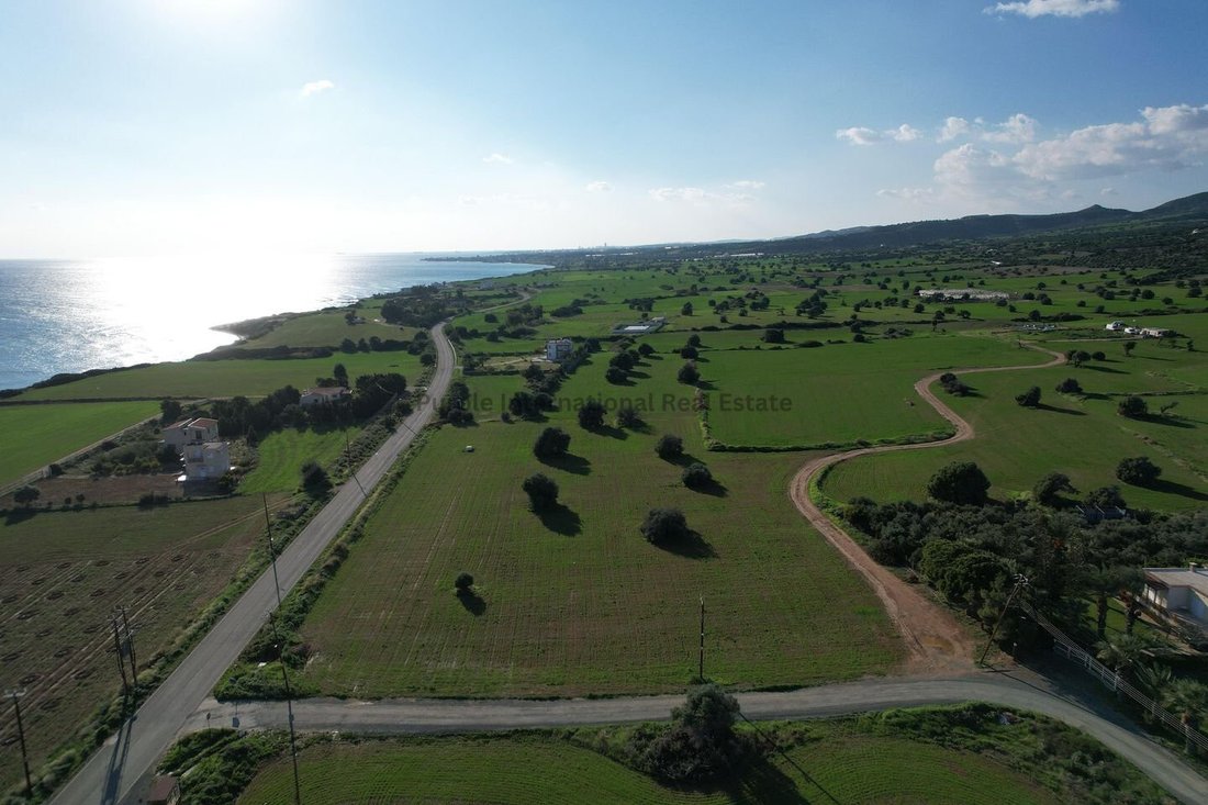 Agios Theodoros, Larnaca, Cyprus 4 - 16712283
