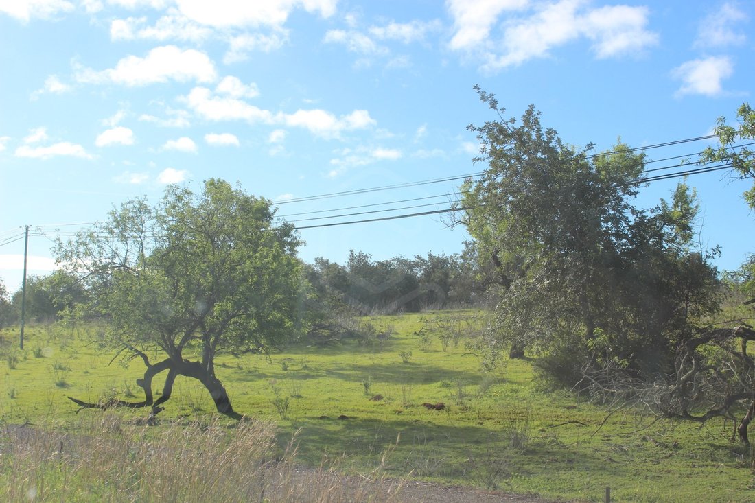 Land in Tavira (Santa Maria e Santiago), Algarve, Portugal 1 - 14549162