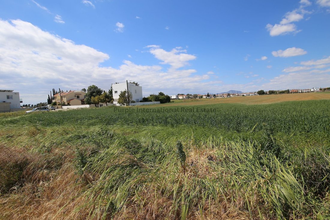 Land in Kiti, Larnaca, Cyprus 3 - 16711983