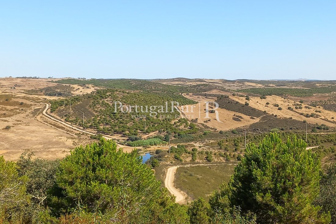 Estate in Sao Miguel do Pinheiro, Beja District, Portugal 1 - 15384830