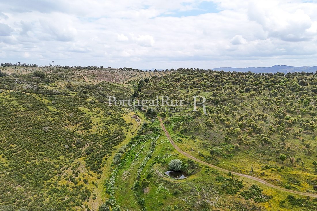 Land in Rosmaninhal, Castelo Branco District, Portugal 2 - 15763709