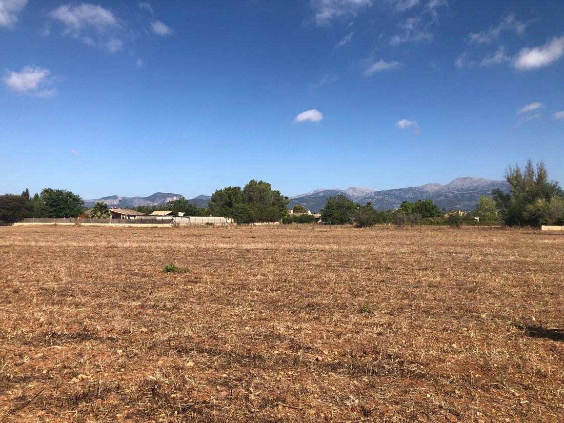 Land in Inca, Balearic Islands, Spain 5 - 16472641