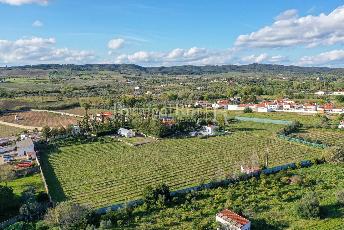 Finca in Vidigueira, Beja District, Portugal 3 - 14199530
