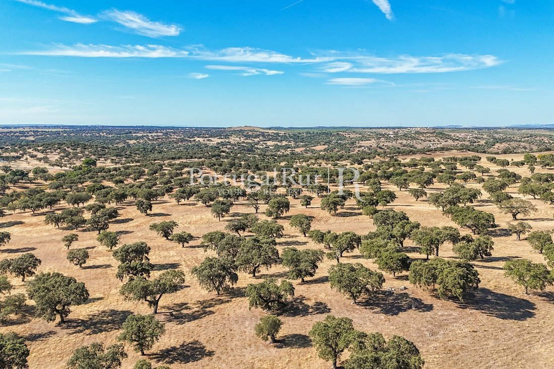 Land in Ervedal, Portalegre District, Portugal 4 - 14952500